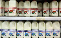 יתייקרו המחירים של מוצרי החלב בפיקוח