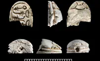 ממצאים מתקופת המשכן - בשילה הקדומה