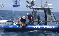 צפו: הצב שנמצא פצוע הוחזר לים