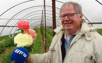 במקום להולנד: הפרחים לשולחן הסדר