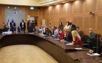 ועדת הכנסת אישרה את דחיית התקציב
