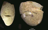 כלי אבן קדום נחשף בכרמל